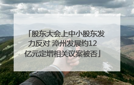 股东大会上中小股东发力反对 漳州发展约12亿元定增相关议案被否
