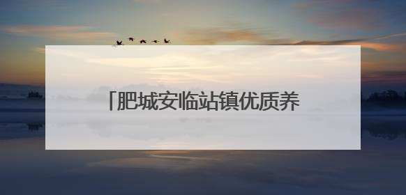 肥城安临站镇优质养老资源福祉更多老人