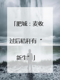 肥城：麦收过后秸秆有“新生”