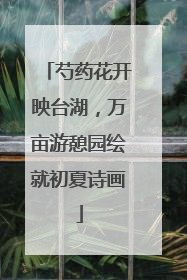 芍药花开映台湖，万亩游憩园绘就初夏诗画