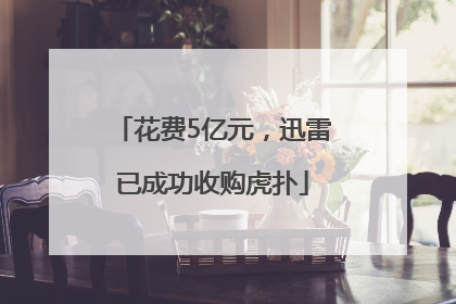 花费5亿元，迅雷已成功收购虎扑