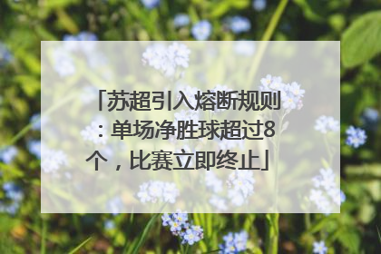 苏超引入熔断规则：单场净胜球超过8个，比赛立即终止