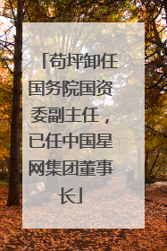 苟坪卸任国务院国资委副主任，已任中国星网集团董事长