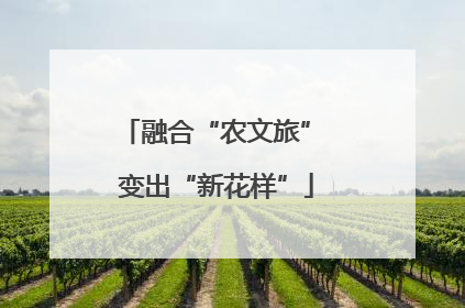 融合“农文旅” 变出“新花样”