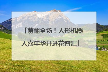 萌翻全场！人形机器人嘉年华开进花博汇