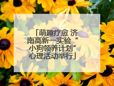萌趣疗愈 济南高新一实验“小狗领养计划”心理活动举行