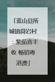 蓝山县所城镇舜岩村：紫茄喜丰收 畅销粤港澳