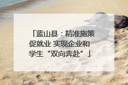 蓝山县：精准施策促就业 实现企业和学生“双向奔赴”