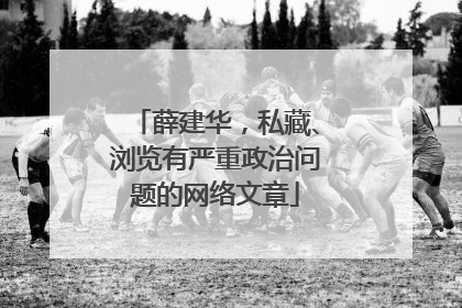 薛建华，私藏、浏览有严重政治问题的网络文章