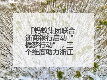 蚂蚁集团联合浙商银行启动“栀梦行动”，三个维度助力浙江下姜村建设共富示范区示范点
