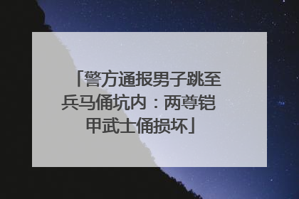 警方通报男子跳至兵马俑坑内：两尊铠甲武士俑损坏