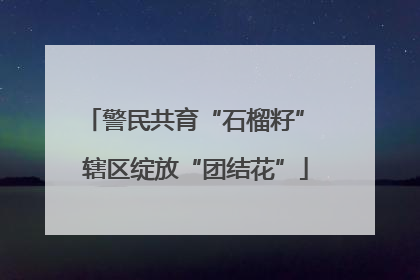 警民共育“石榴籽” 辖区绽放“团结花”
