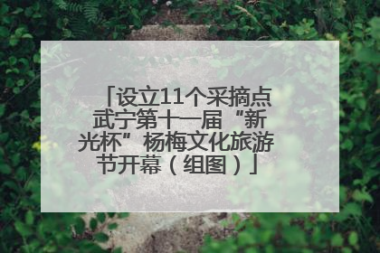 设立11个采摘点 武宁第十一届“新光杯”杨梅文化旅游节开幕（组图）