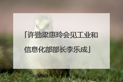 许勤梁惠玲会见工业和信息化部部长李乐成