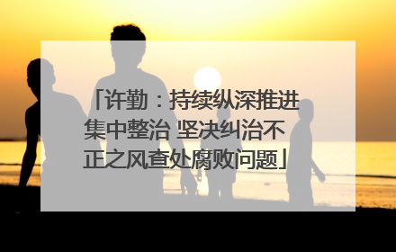许勤：持续纵深推进集中整治 坚决纠治不正之风查处腐败问题