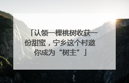 认领一棵桃树收获一份甜蜜，宁乡这个村邀你成为“树主”