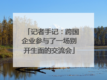 记者手记：跨国企业参与了一场别开生面的交流会