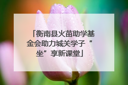 衡南县火苗助学基金会助力城关学子“坐”享新课堂