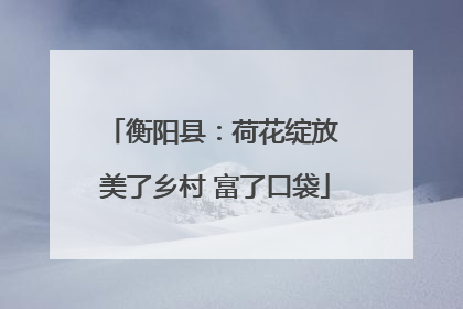 衡阳县：荷花绽放 美了乡村 富了口袋