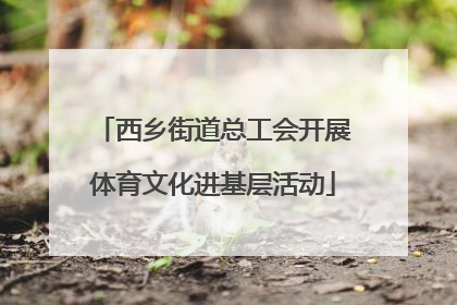 西乡街道总工会开展体育文化进基层活动