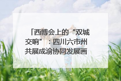 西博会上的“双城交响”：四川六市州共展成渝协同发展画卷｜西博视界