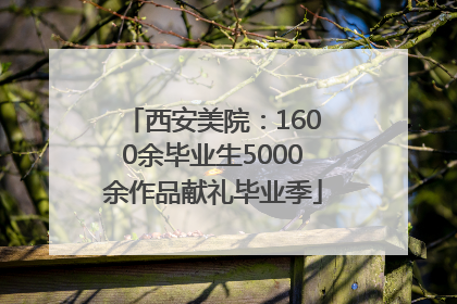 西安美院：1600余毕业生5000余作品献礼毕业季