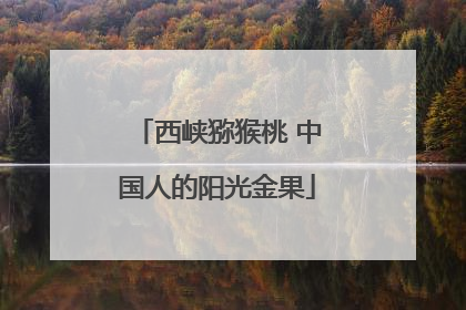 西峡猕猴桃 中国人的阳光金果