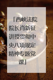 西峡法院院长肖新征讲授贯彻中央八项规定精神专题党课