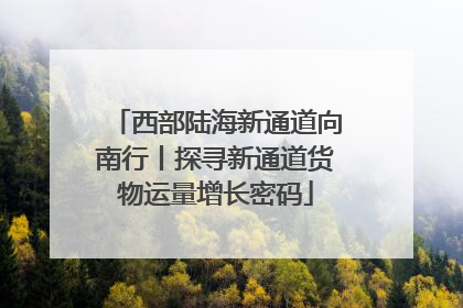 西部陆海新通道向南行丨探寻新通道货物运量增长密码