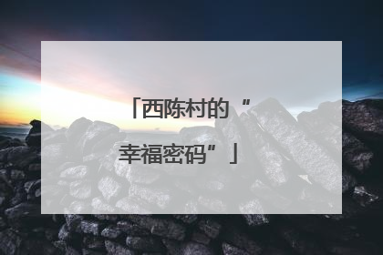 西陈村的“幸福密码”