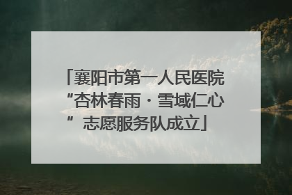 襄阳市第一人民医院“杏林春雨・雪域仁心”志愿服务队成立