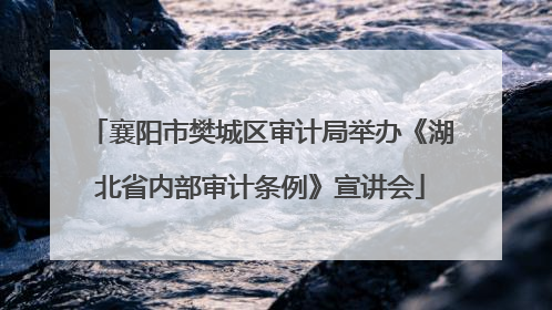 襄阳市樊城区审计局举办《湖北省内部审计条例》宣讲会
