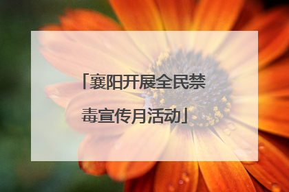 襄阳开展全民禁毒宣传月活动