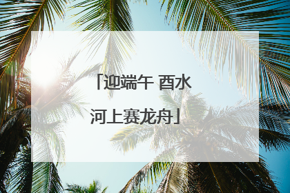 迎端午 酉水河上赛龙舟
