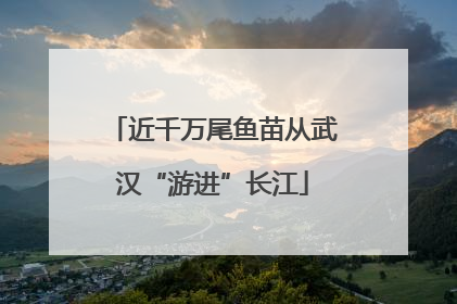 近千万尾鱼苗从武汉“游进”长江