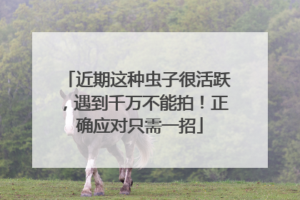 近期这种虫子很活跃，遇到千万不能拍！正确应对只需一招