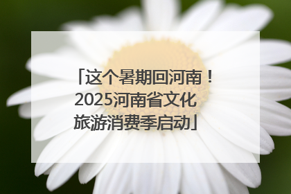 这个暑期回河南！2025河南省文化旅游消费季启动