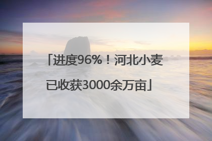 进度96%！河北小麦已收获3000余万亩