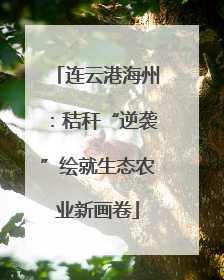 连云港海州：秸秆“逆袭”绘就生态农业新画卷