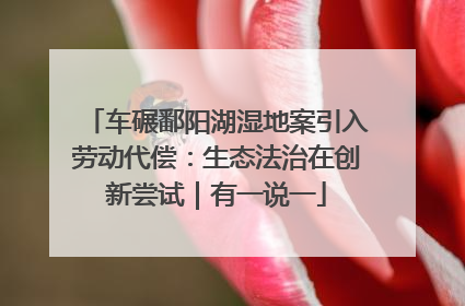 车碾鄱阳湖湿地案引入劳动代偿：生态法治在创新尝试｜有一说一