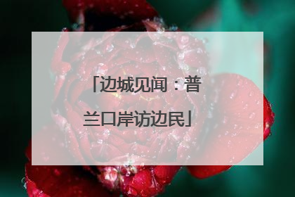 边城见闻：普兰口岸访边民