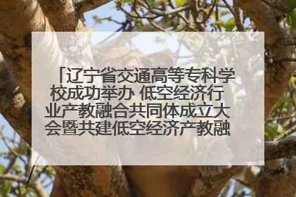 辽宁省交通高等专科学校成功举办 低空经济行业产教融合共同体成立大会暨共建低空经济产教融合新生态论坛