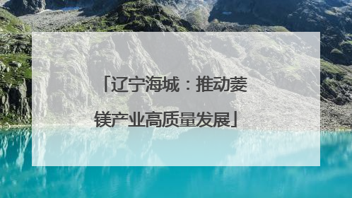 辽宁海城：推动菱镁产业高质量发展