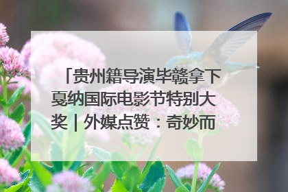 贵州籍导演毕赣拿下戛纳国际电影节特别大奖｜外媒点赞：奇妙而广阔的纯粹电影梦