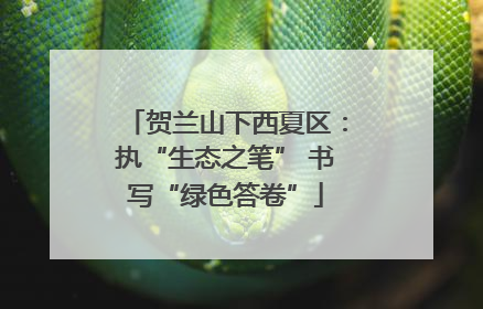贺兰山下西夏区：执“生态之笔” 书写“绿色答卷”