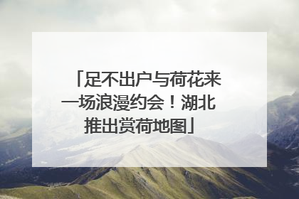 足不出户与荷花来一场浪漫约会！湖北推出赏荷地图
