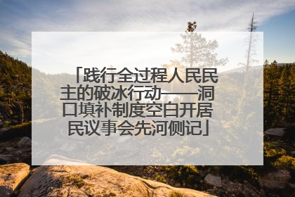 践行全过程人民民主的破冰行动——洞口填补制度空白开居民议事会先河侧记