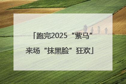 跑完2025“紫马” 来场“抹黑脸”狂欢