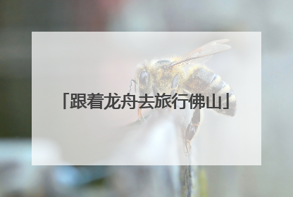 跟着龙舟去旅行佛山