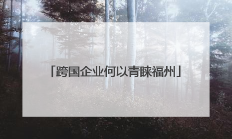 跨国企业何以青睐福州